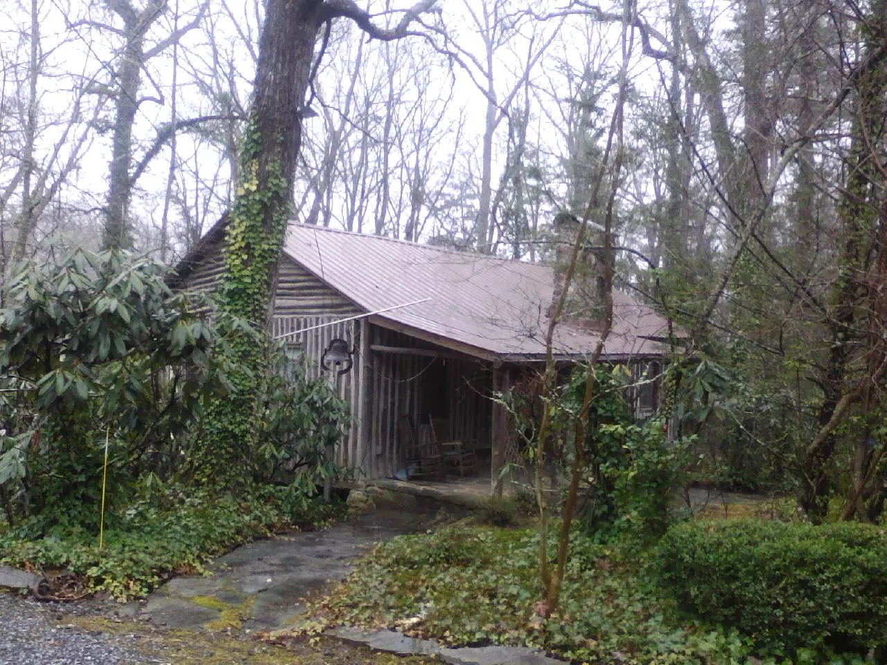 Weathered metal roof on an old board sided cabin in the woods in Sargent